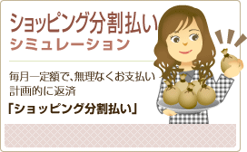 �V���b�s���O���������V�~�����[�V����