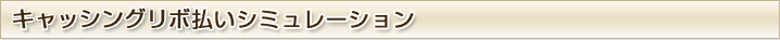 �L���b�V���O���{�����V�~�����[�V����