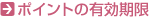 �|�C���g�̗L������