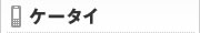 �P�[�^�C