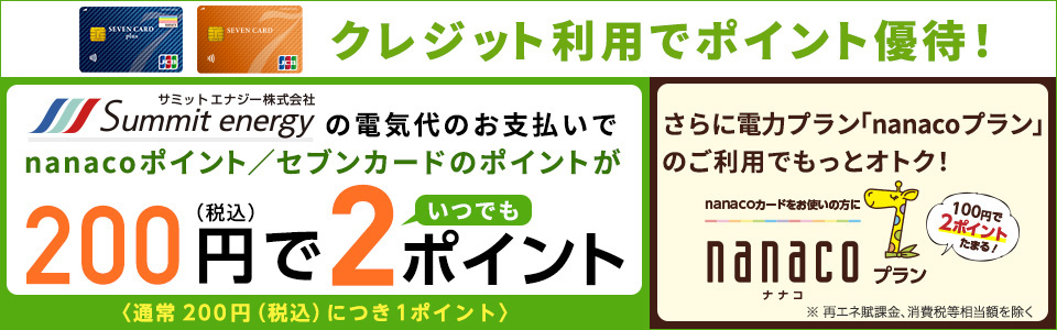 �T�~�b�g�G�i�W�[�̓d�C�ゲ���p�ł��ł��|�C���g2�{