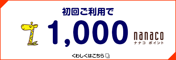 KARA セブン限定サイン 、ナナコカードド KARA セブン限定サイン 、ナナコカードド