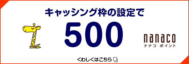 キャッシング枠の設定で500nanacoポイント 詳しくはこちら